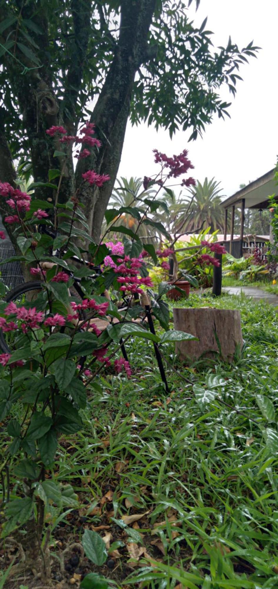 Hostal Tu'U Koihu Hanga Roa Exterior photo